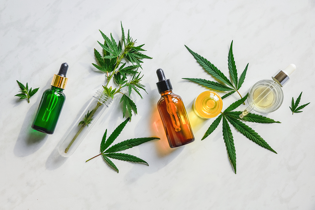 CBD Oil for Novices: All You Need Know About This Natural Remedy